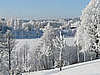 Wypoczynek na Suwalszczyźnie - nasz "las" w śnieżnej szacie